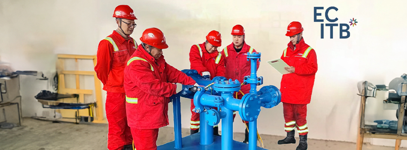 Inspection Training and Consulting Services
